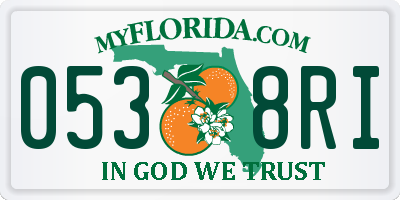 FL license plate 0538RI