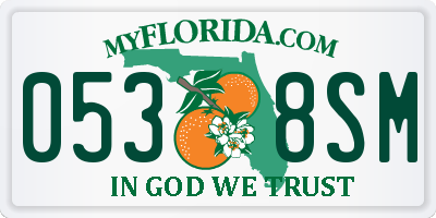 FL license plate 0538SM