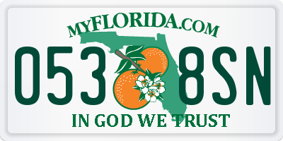 FL license plate 0538SN