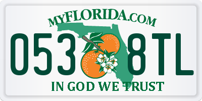 FL license plate 0538TL