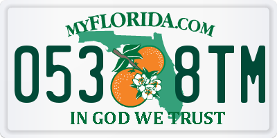 FL license plate 0538TM
