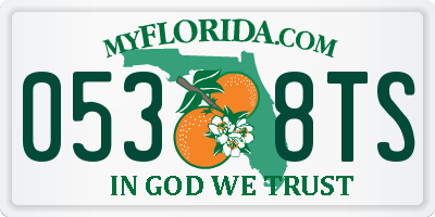FL license plate 0538TS