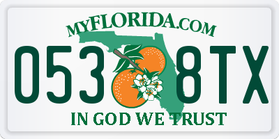 FL license plate 0538TX