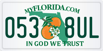 FL license plate 0538UL