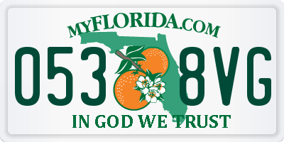 FL license plate 0538VG