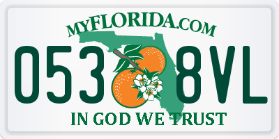 FL license plate 0538VL