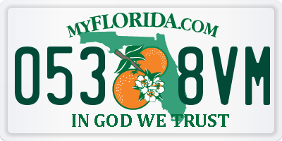FL license plate 0538VM