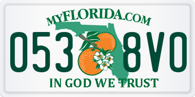 FL license plate 0538VO
