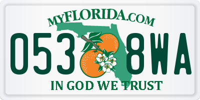 FL license plate 0538WA