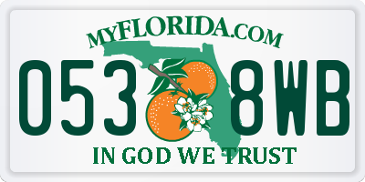 FL license plate 0538WB