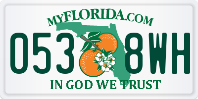 FL license plate 0538WH