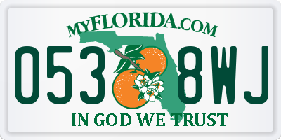 FL license plate 0538WJ