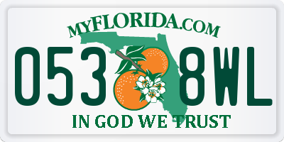 FL license plate 0538WL