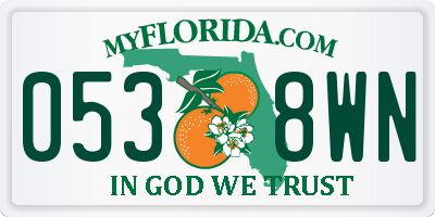 FL license plate 0538WN