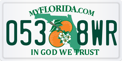 FL license plate 0538WR