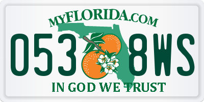 FL license plate 0538WS