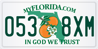 FL license plate 0538XM