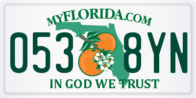 FL license plate 0538YN
