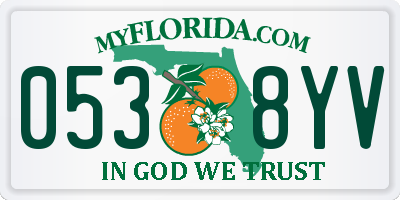FL license plate 0538YV