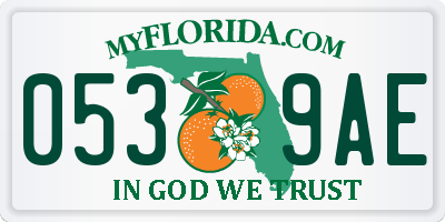 FL license plate 0539AE