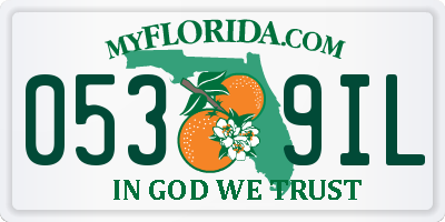 FL license plate 0539IL