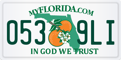 FL license plate 0539LI