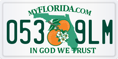 FL license plate 0539LM