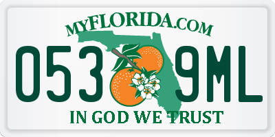 FL license plate 0539ML