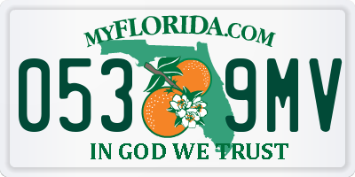 FL license plate 0539MV