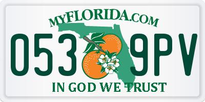 FL license plate 0539PV