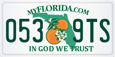 FL license plate 0539TS
