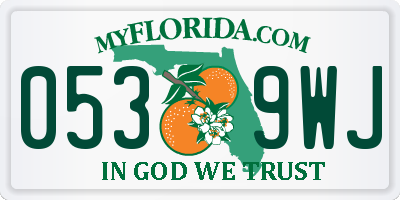 FL license plate 0539WJ