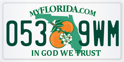 FL license plate 0539WM