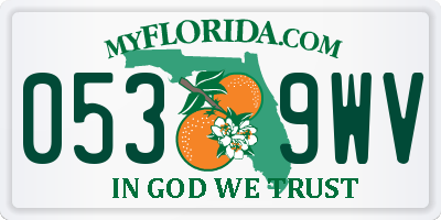 FL license plate 0539WV