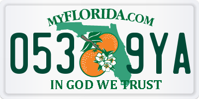 FL license plate 0539YA