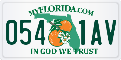 FL license plate 0541AV
