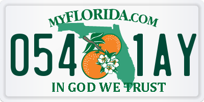 FL license plate 0541AY