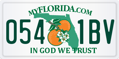 FL license plate 0541BV
