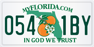FL license plate 0541BY