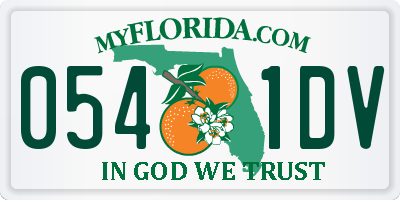 FL license plate 0541DV