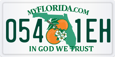 FL license plate 0541EH