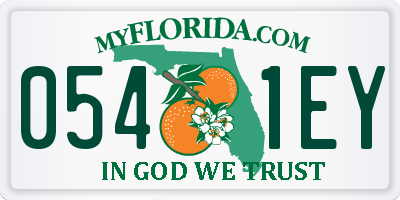 FL license plate 0541EY