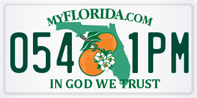 FL license plate 0541PM