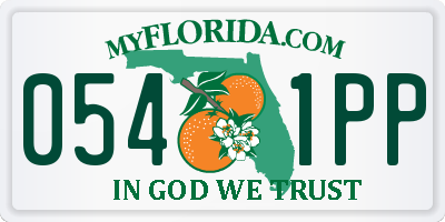 FL license plate 0541PP