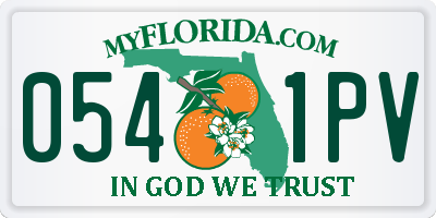 FL license plate 0541PV
