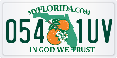FL license plate 0541UV