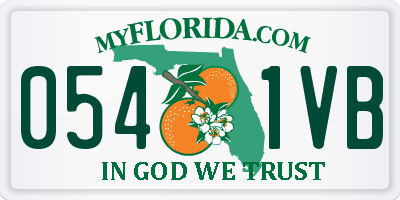 FL license plate 0541VB