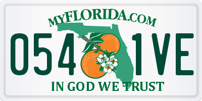 FL license plate 0541VE
