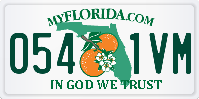 FL license plate 0541VM
