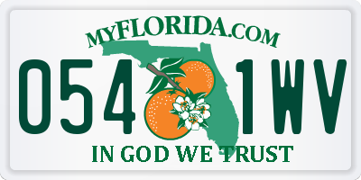 FL license plate 0541WV